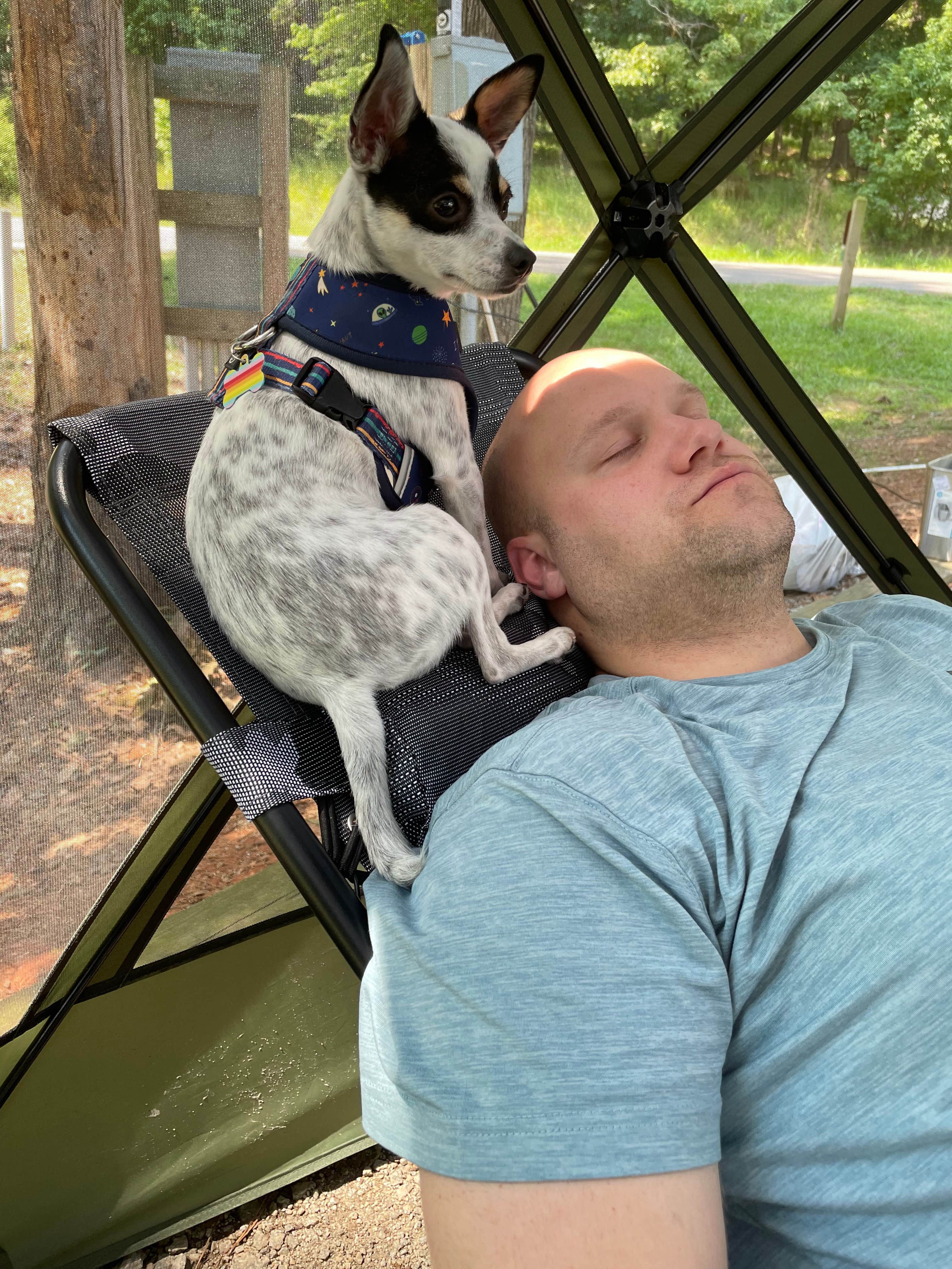 Brett D.'s photo of camping with pets at Elijah Clark State Park Campground near J. Strom Thurmond Lake