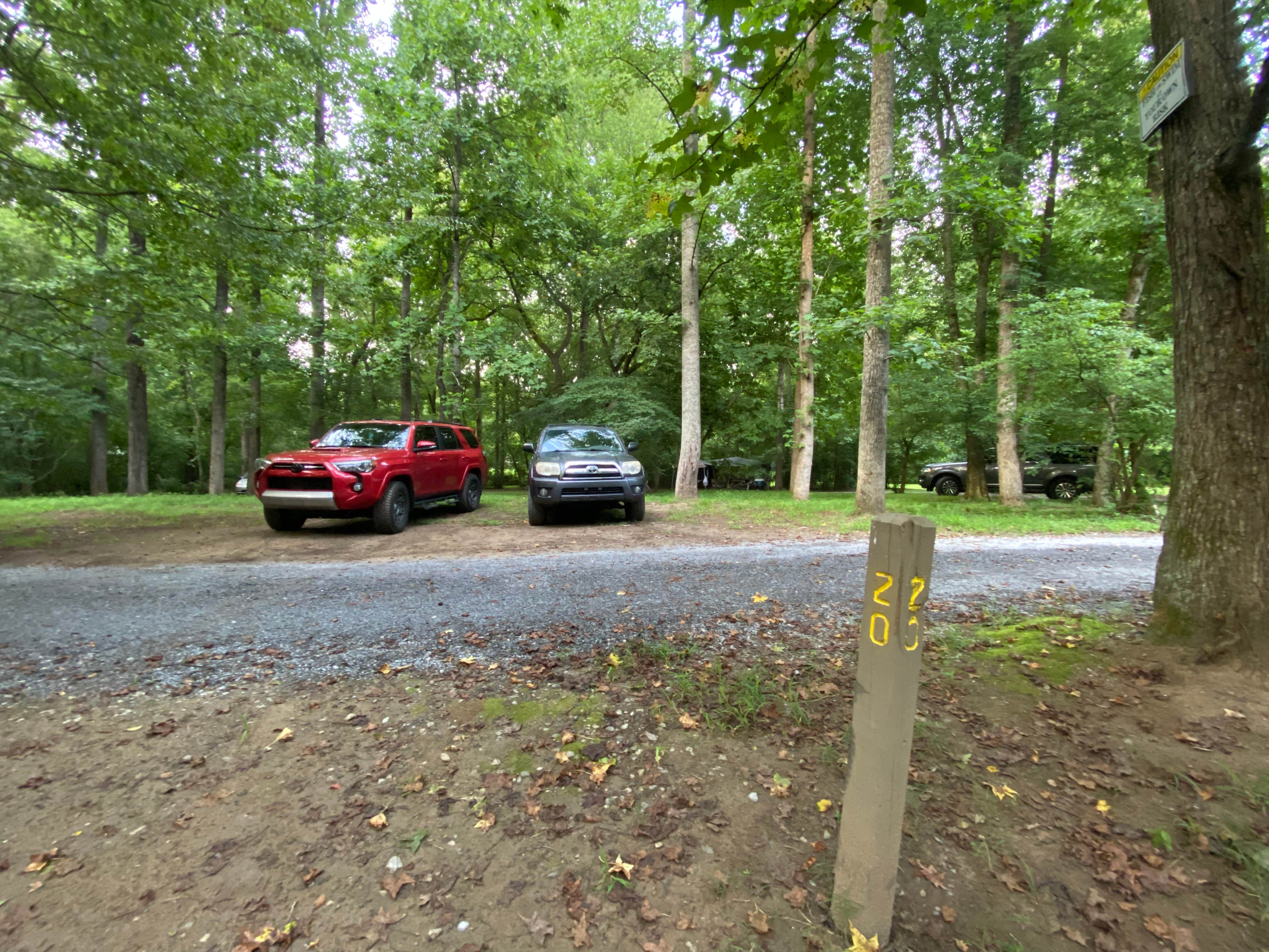 Best camping near Knoxville, Tennessee The Dyrt