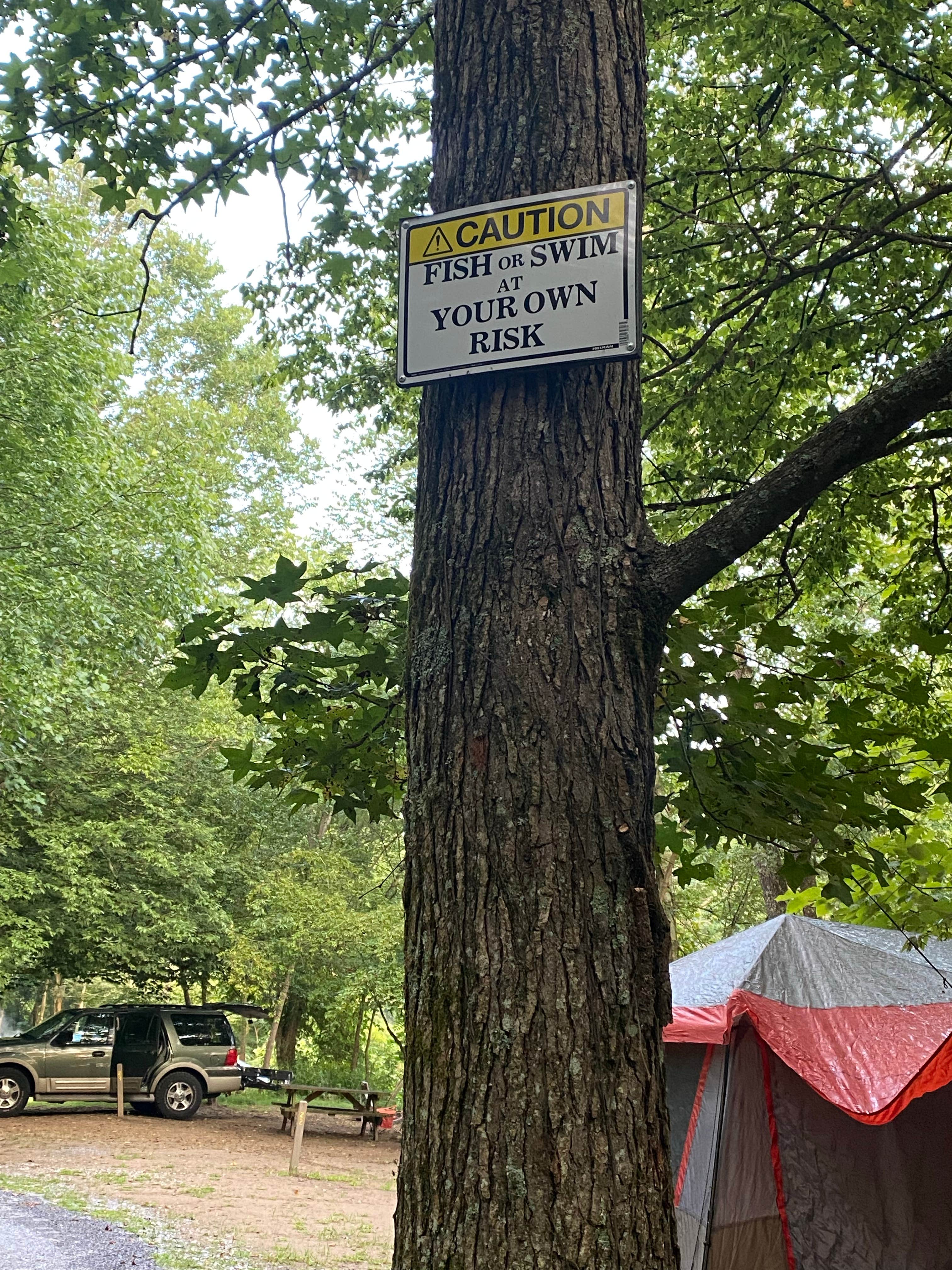 Jasmaine L.'s photo at Fox Fire Riverside Campground near Hartford, TN