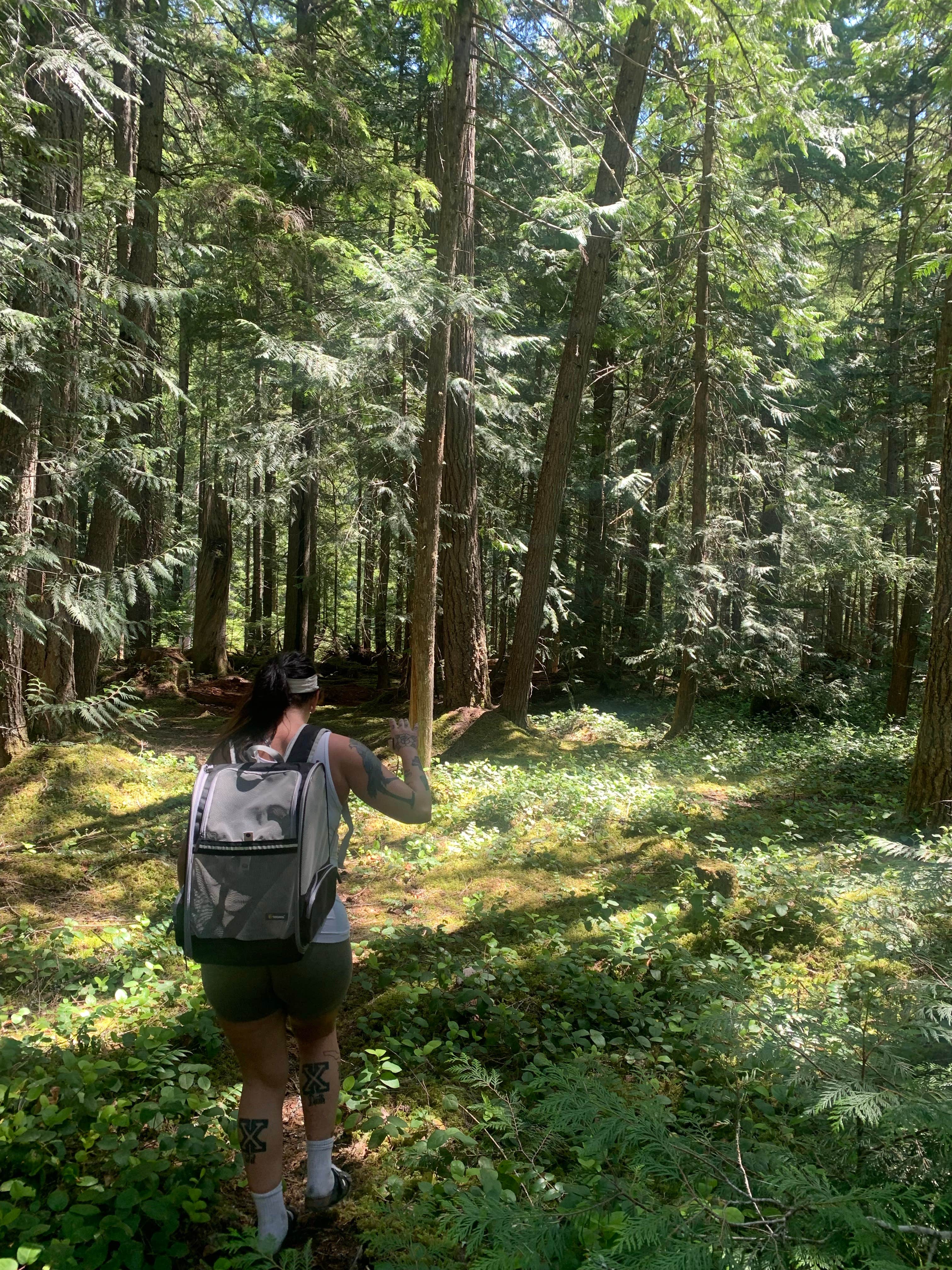 Buck Creek Campground The Dyrt