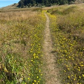 Review photo of Cape Blanco State Park Campground by Josh E., August 8, 2021