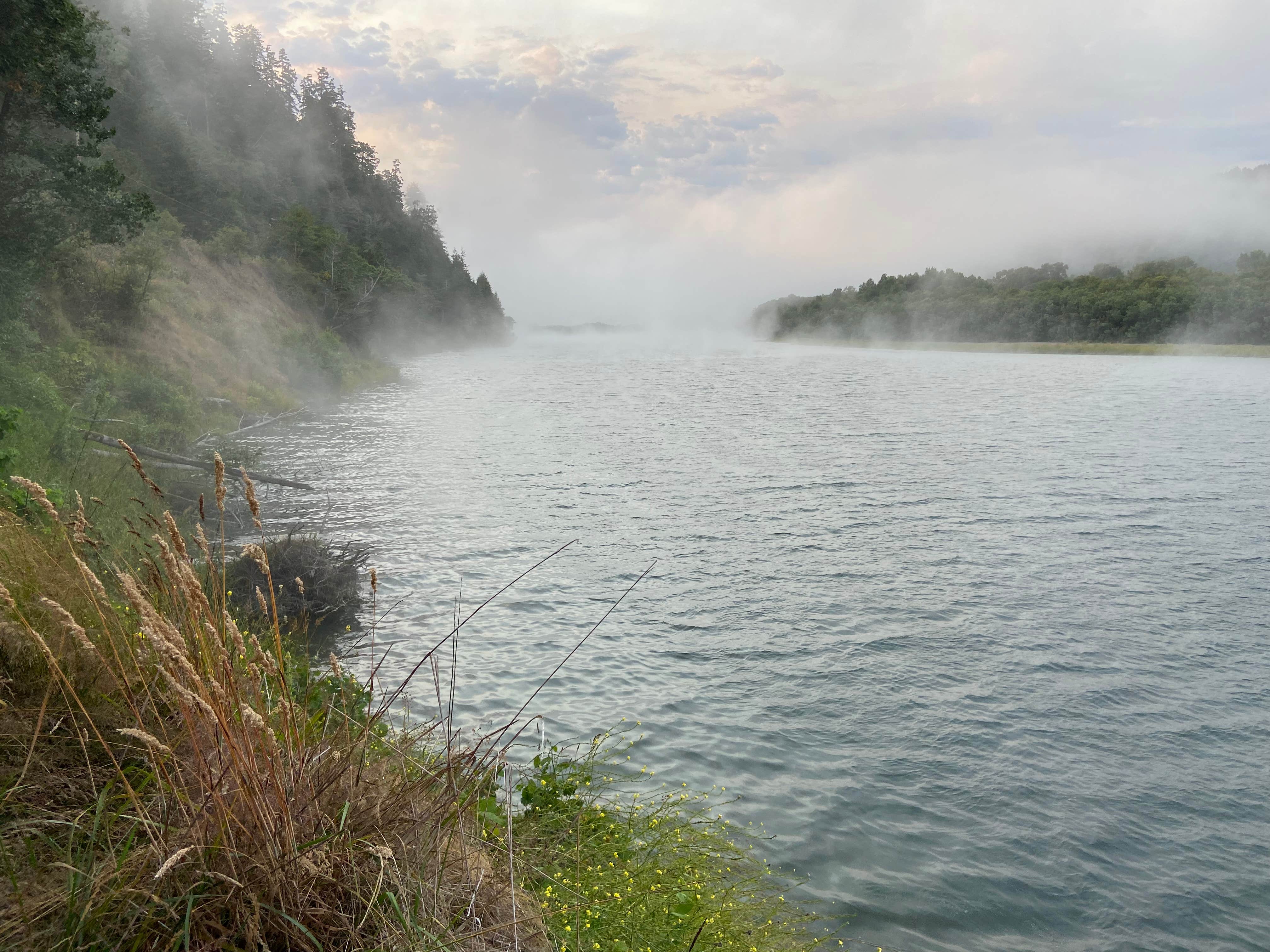 Camper submitted image from Klamath River RV Park - 4