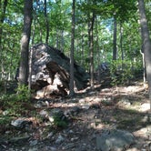 Review photo of Owens Creek Campground — Catoctin Mountain Park by Cory D., June 18, 2018