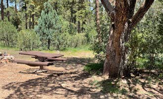 Camping near Chevelon Crossing Campground: Chevelon Canyon Lake Campground, Forest Lakes, Arizona
