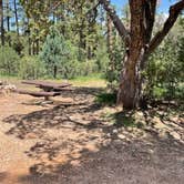 Review photo of Chevelon Canyon Lake Campground by Layne L., August 8, 2021