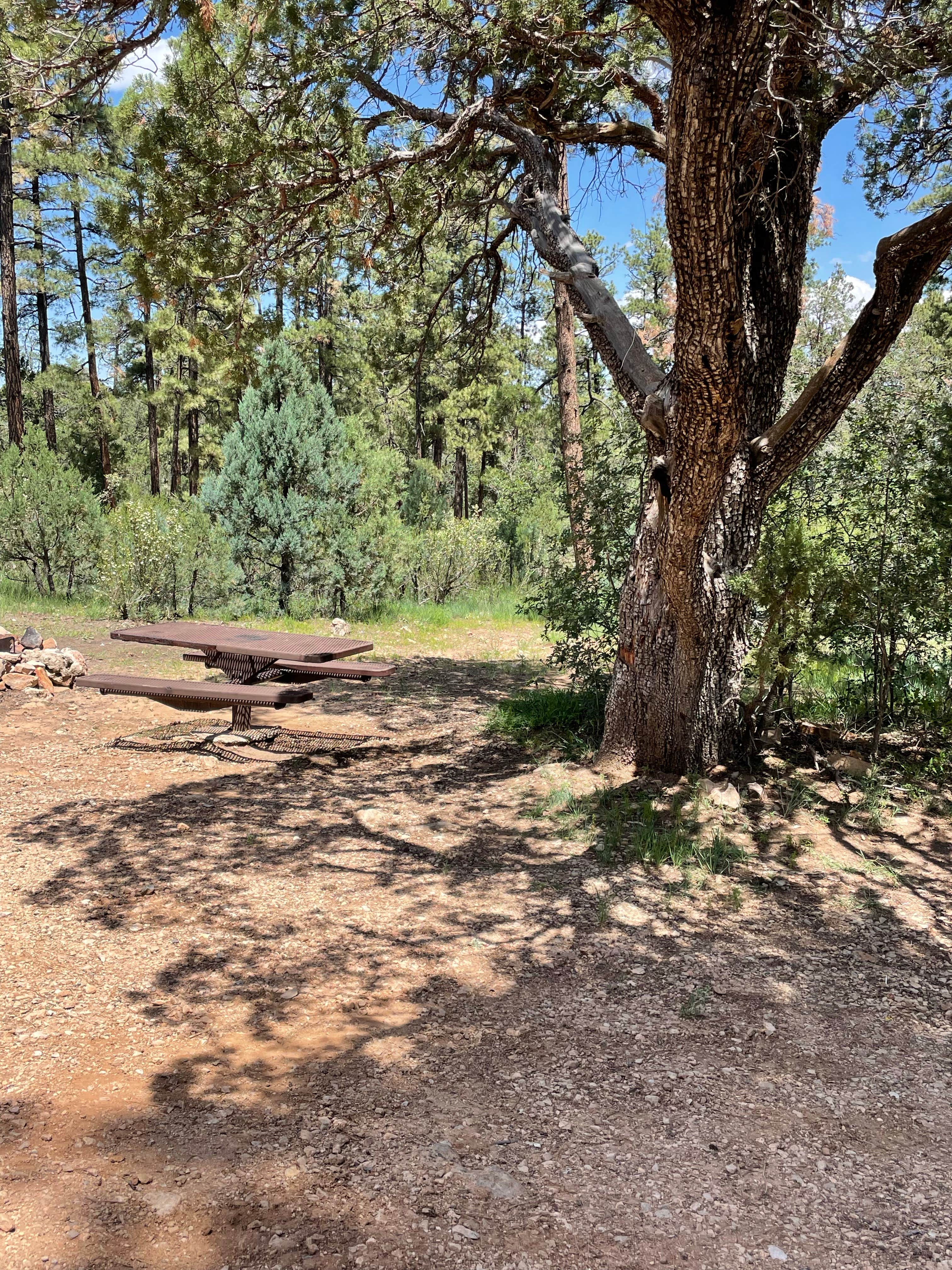 Camper submitted image from Chevelon Canyon Lake Campground - 1