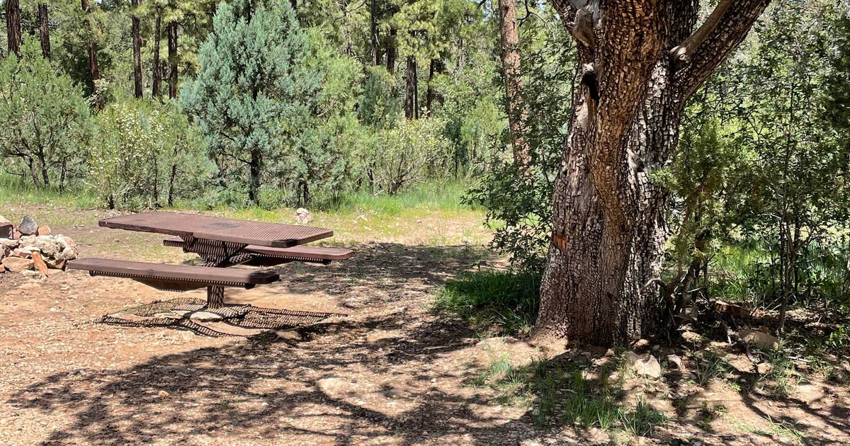 Chevelon Canyon Lake Campground