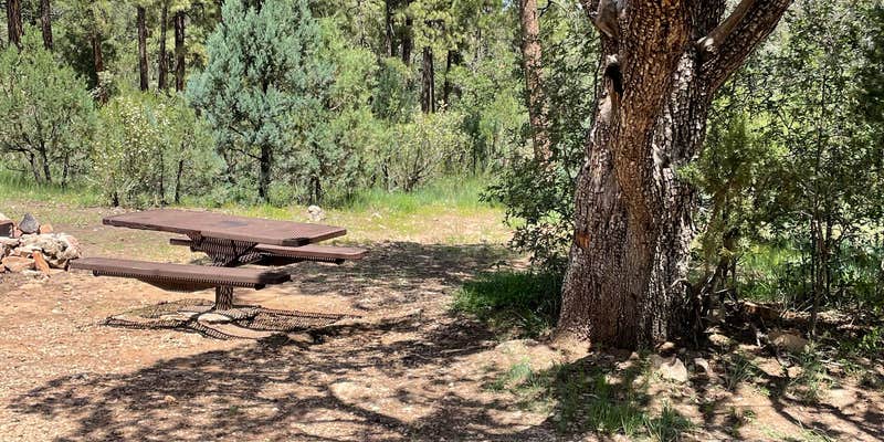 Camper submitted image from Chevelon Canyon Lake Campground