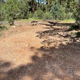 Review photo of Chevelon Canyon Lake Campground by Layne L., August 8, 2021