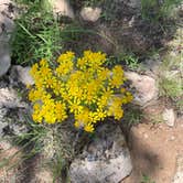 Review photo of Chevelon Canyon Lake Campground by Layne L., August 8, 2021