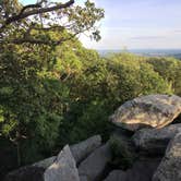 Review photo of Owens Creek Campground — Catoctin Mountain Park by Cory D., June 18, 2018