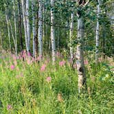 Review photo of North Fork Campground - Sawtooth National Forest by todd , August 8, 2021