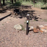 Review photo of Rim Campground by Layne L., August 8, 2021