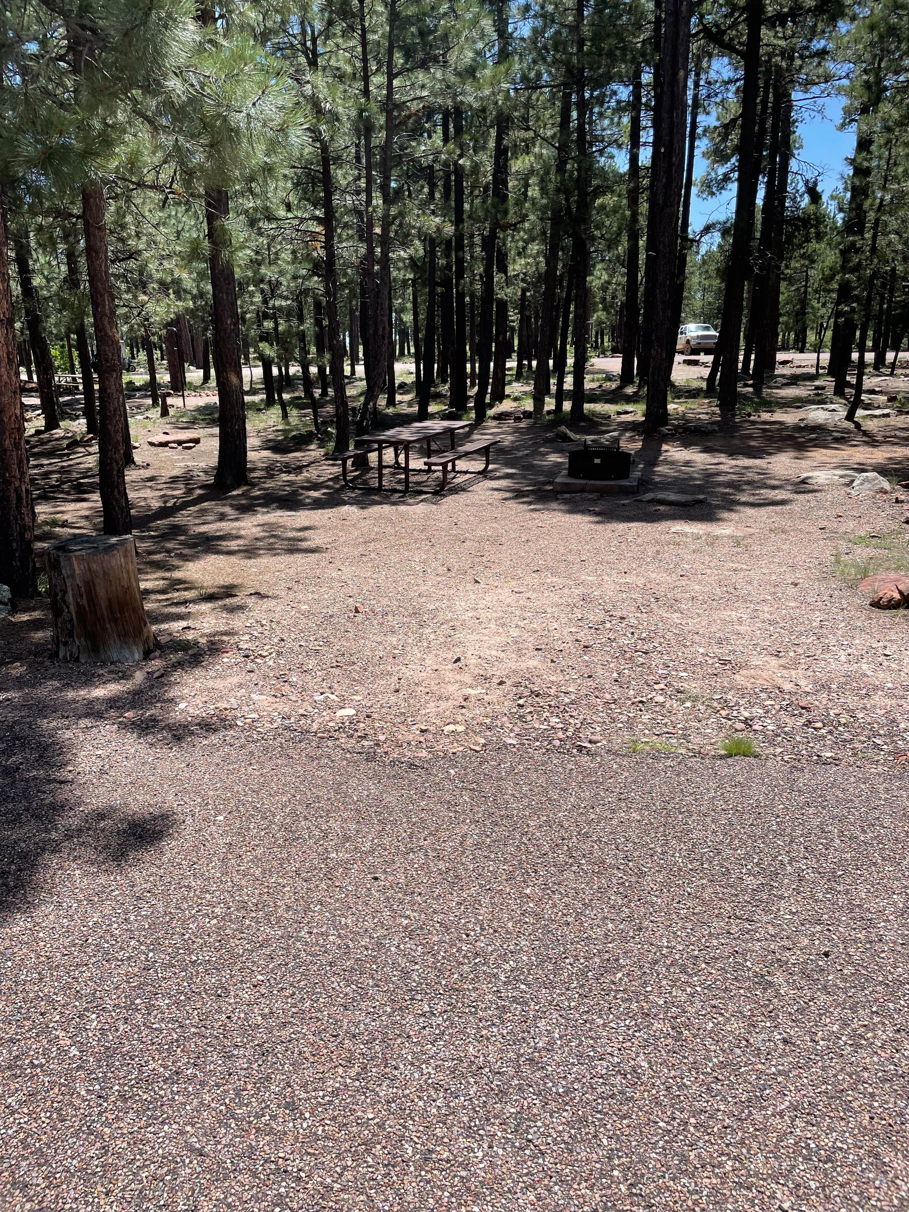 Best camping near Payson, Arizona The Dyrt