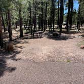 Review photo of Rim Campground by Layne L., August 8, 2021