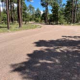 Review photo of Rim Campground by Layne L., August 8, 2021