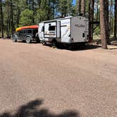 Review photo of Rim Campground by Layne L., August 8, 2021