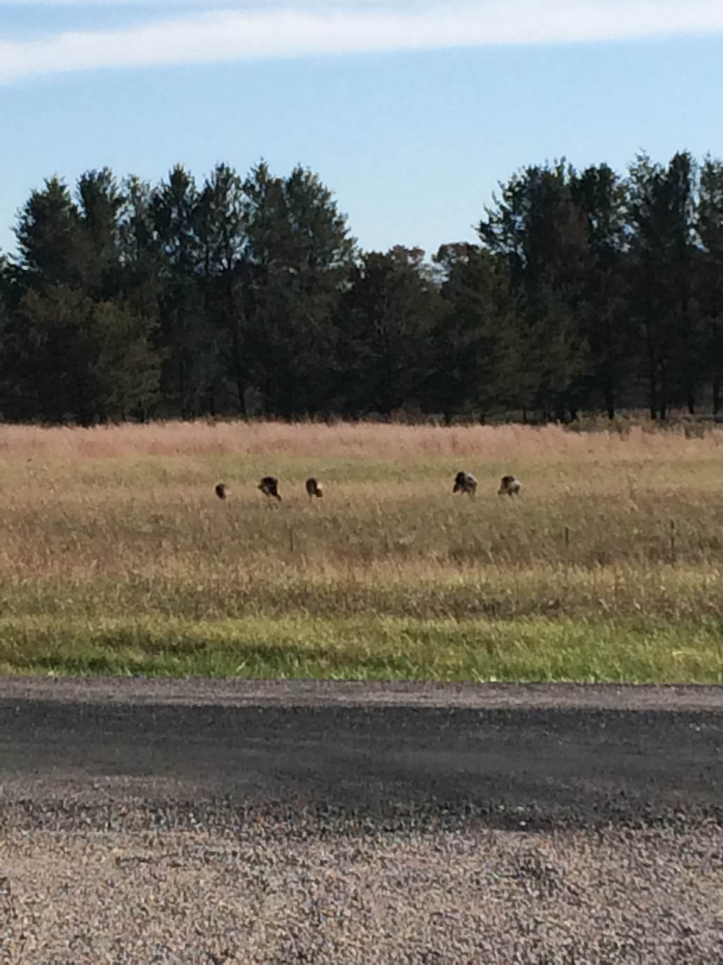 Camper submitted image from Sparta DNR Campground - 1