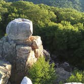 Review photo of Owens Creek Campground — Catoctin Mountain Park by Cory D., June 18, 2018