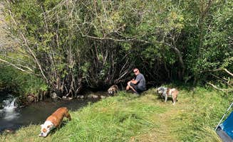 Monica W.'s photo of camping with pets at Camp Hart Mountain near Lakeview, OR