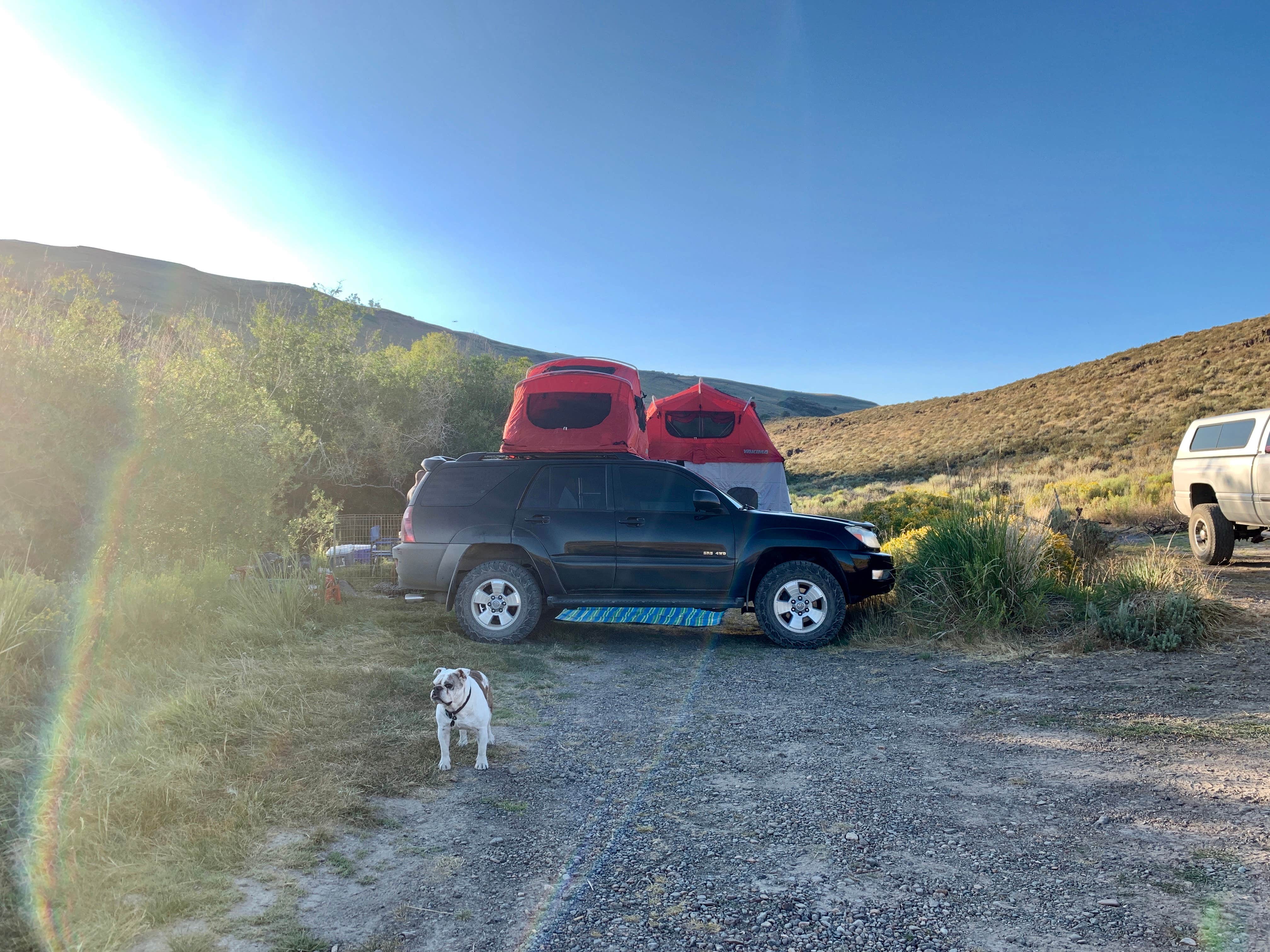 Monica W.'s photo of camping with pets at Camp Hart Mountain near Frenchglen, OR