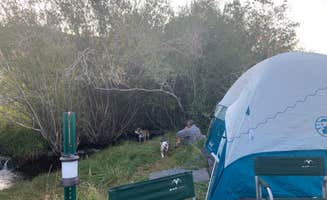 Monica W.'s photo of camping with pets at Camp Hart Mountain near Lakeview, OR