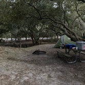 Review photo of First Landing State Park Campground by Katie M., August 8, 2021