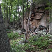 Review photo of Owens Creek Campground — Catoctin Mountain Park by Cory D., June 18, 2018