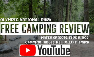 Camping near Lake Crescent Lodge — Olympic National Park: Lyre River- State Forest, Joyce, Washington