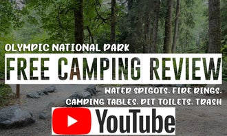 Camping near Fairholme Campground — Olympic National Park: Lyre River- State Forest, Joyce, Washington