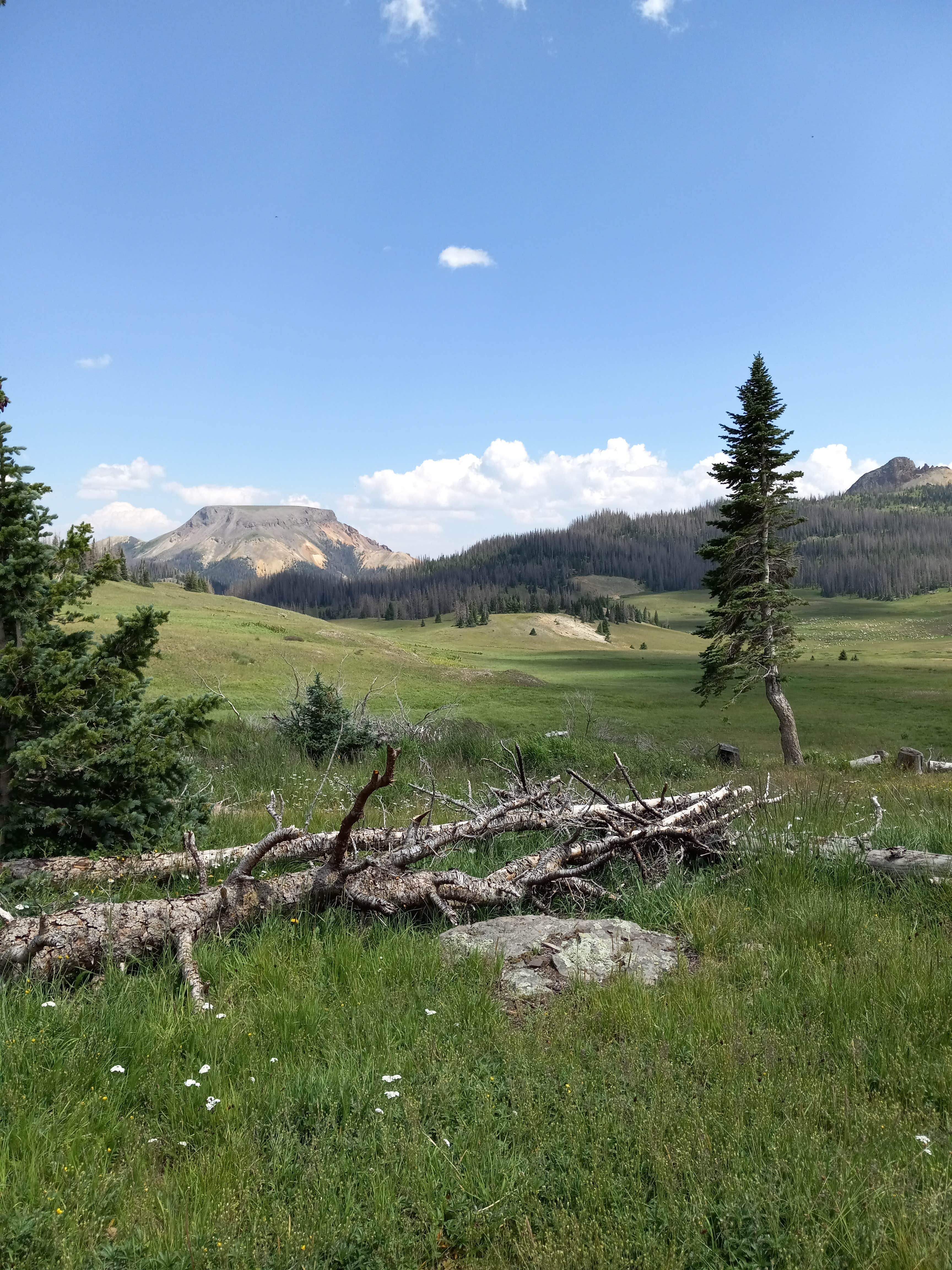 Camper-submitted photo at Elwood Cabin near Rio Grande National Forest