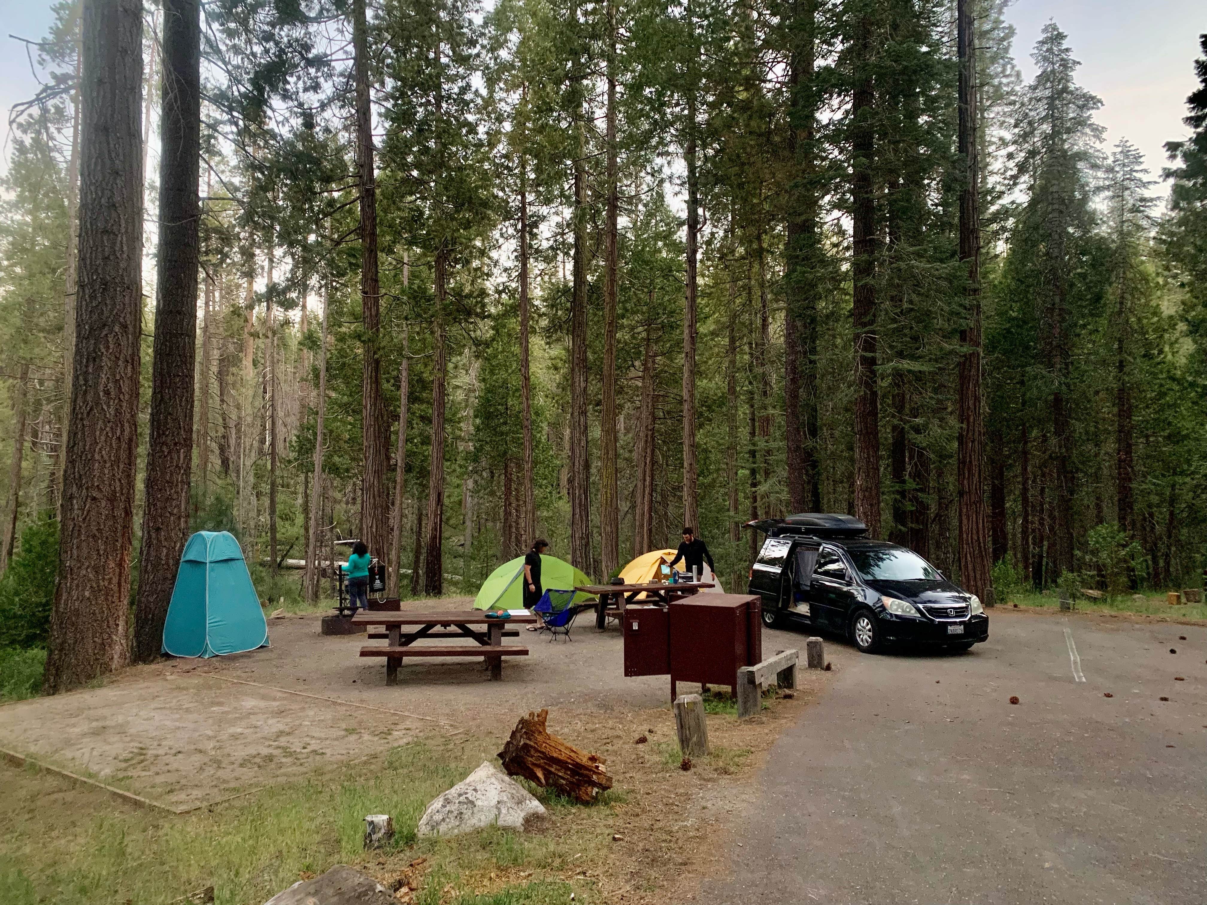 Best camping in Stanislaus National Forest The Dyrt