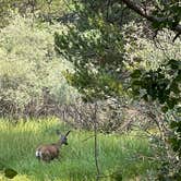 Review photo of Sabrina Campground by Erick , August 9, 2021