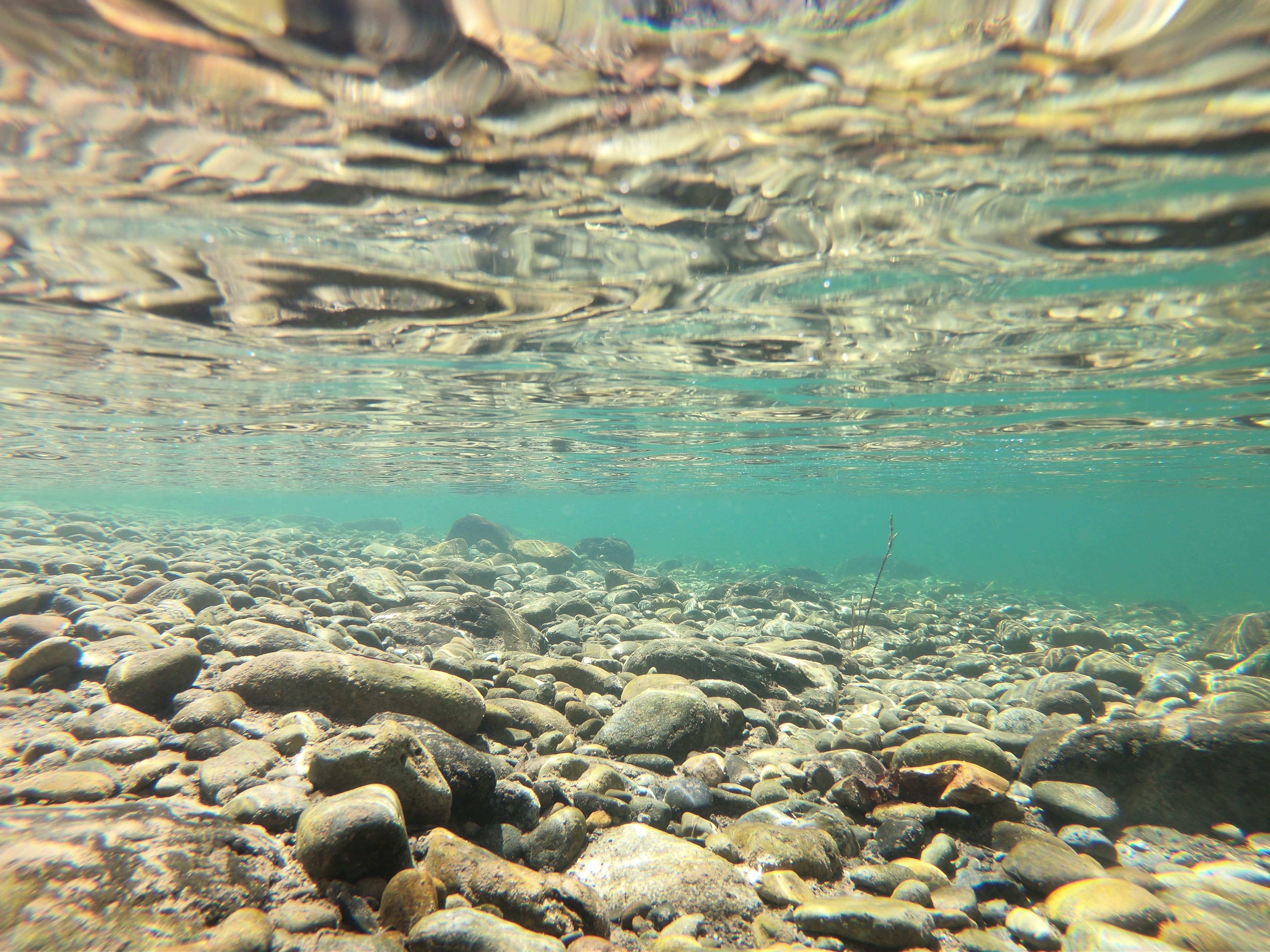 Camper-submitted photo at Oak Flat /Gravel Bar near Agness, OR