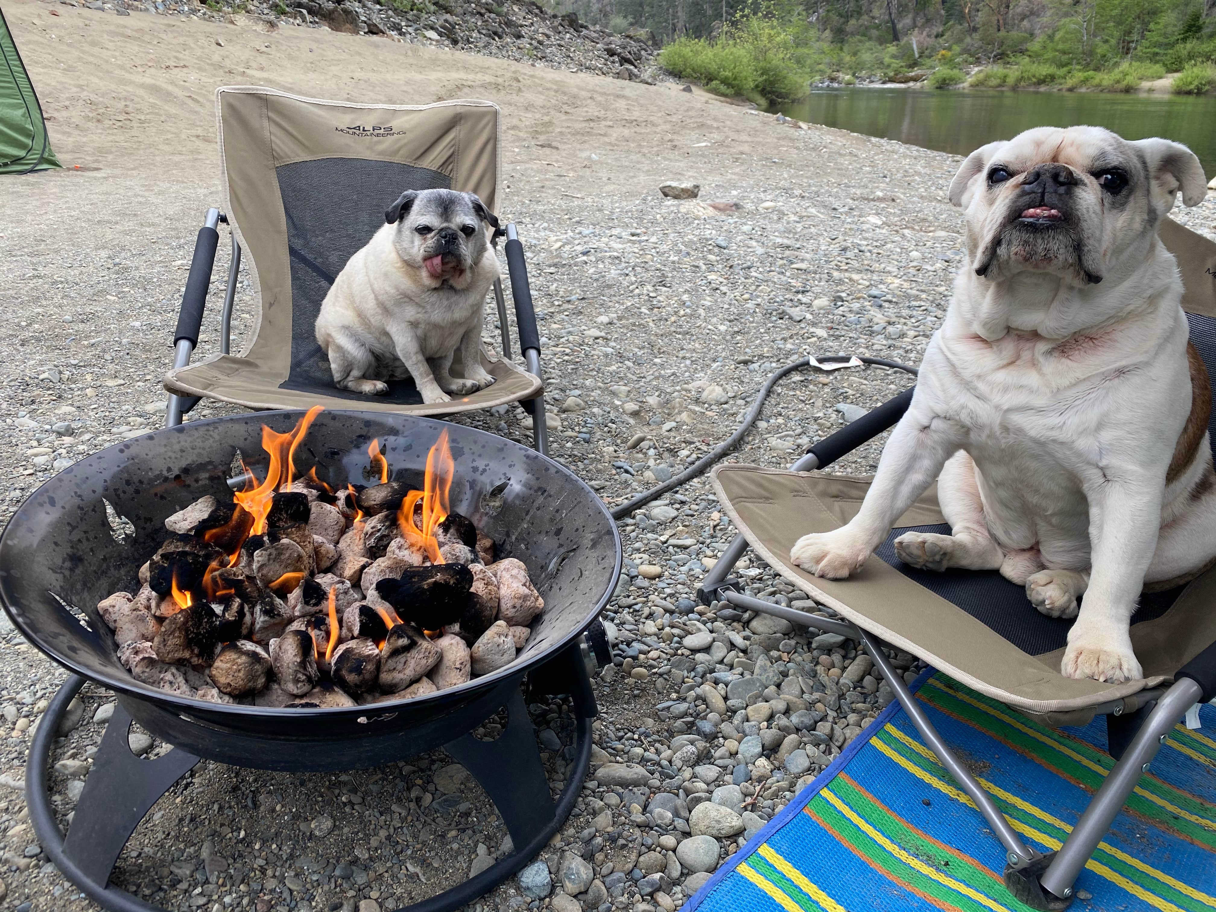 Camper-submitted photo at Oak Flat /Gravel Bar near Agness, OR