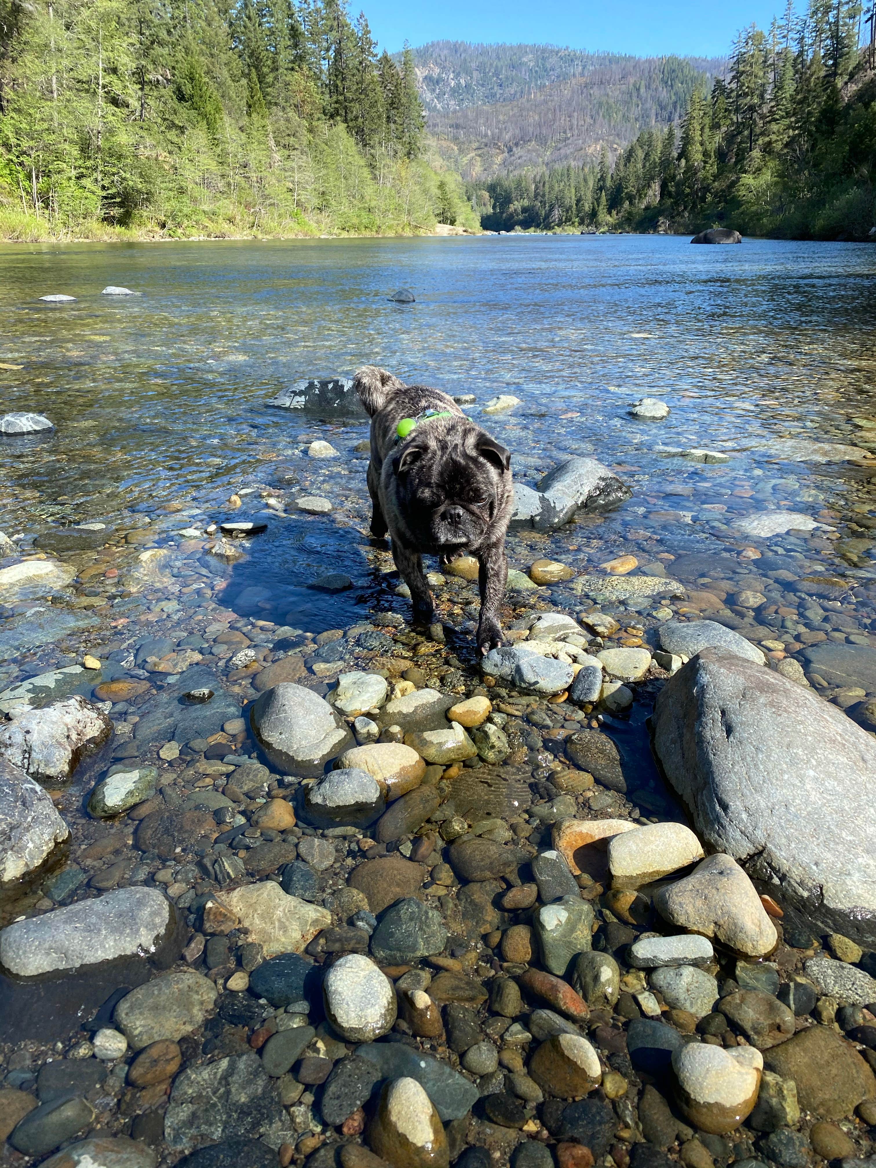 Camper-submitted photo at Oak Flat /Gravel Bar near Agness, OR