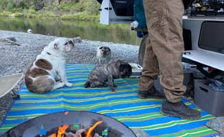 Monica W.'s photo of camping with pets at Oak Flat /Gravel Bar near Kerby, OR