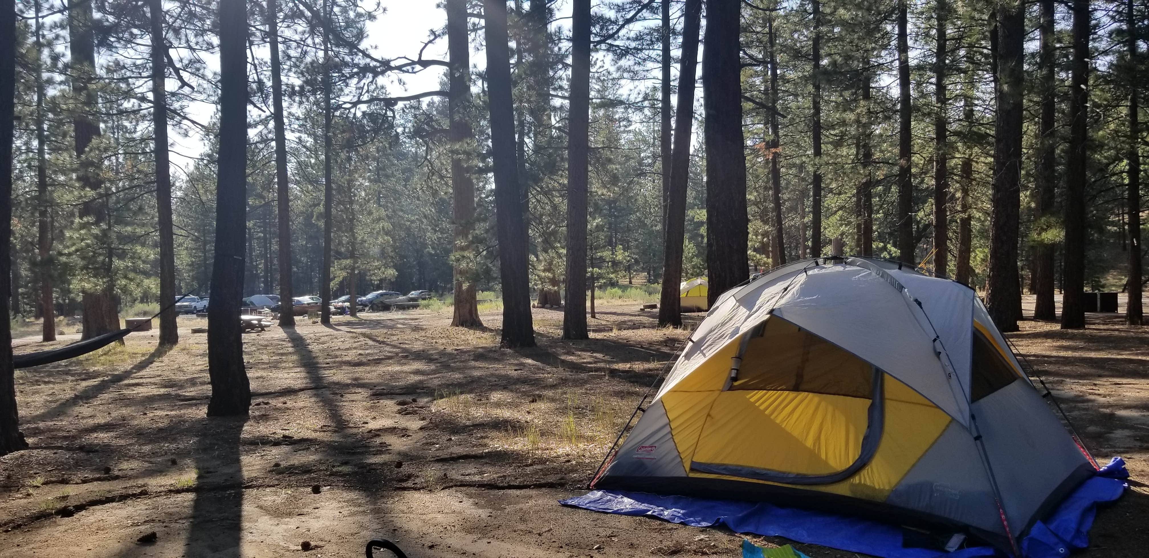 Aaron M.'s photo at Barton Flats Family Campground near Big Bear Lake, CA
