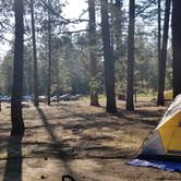 Review photo of Barton Flats Family Campground by Aaron M., August 9, 2021