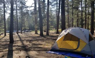 Aaron M.'s photo at Barton Flats Family Campground near Oak Glen, CA