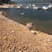 Review photo of Lake Siskiyou Camp Resort by Amanda V., August 9, 2021