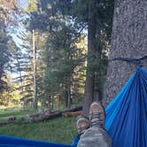 Review photo of Lockett Meadow Campground by Sapphira G., August 9, 2021