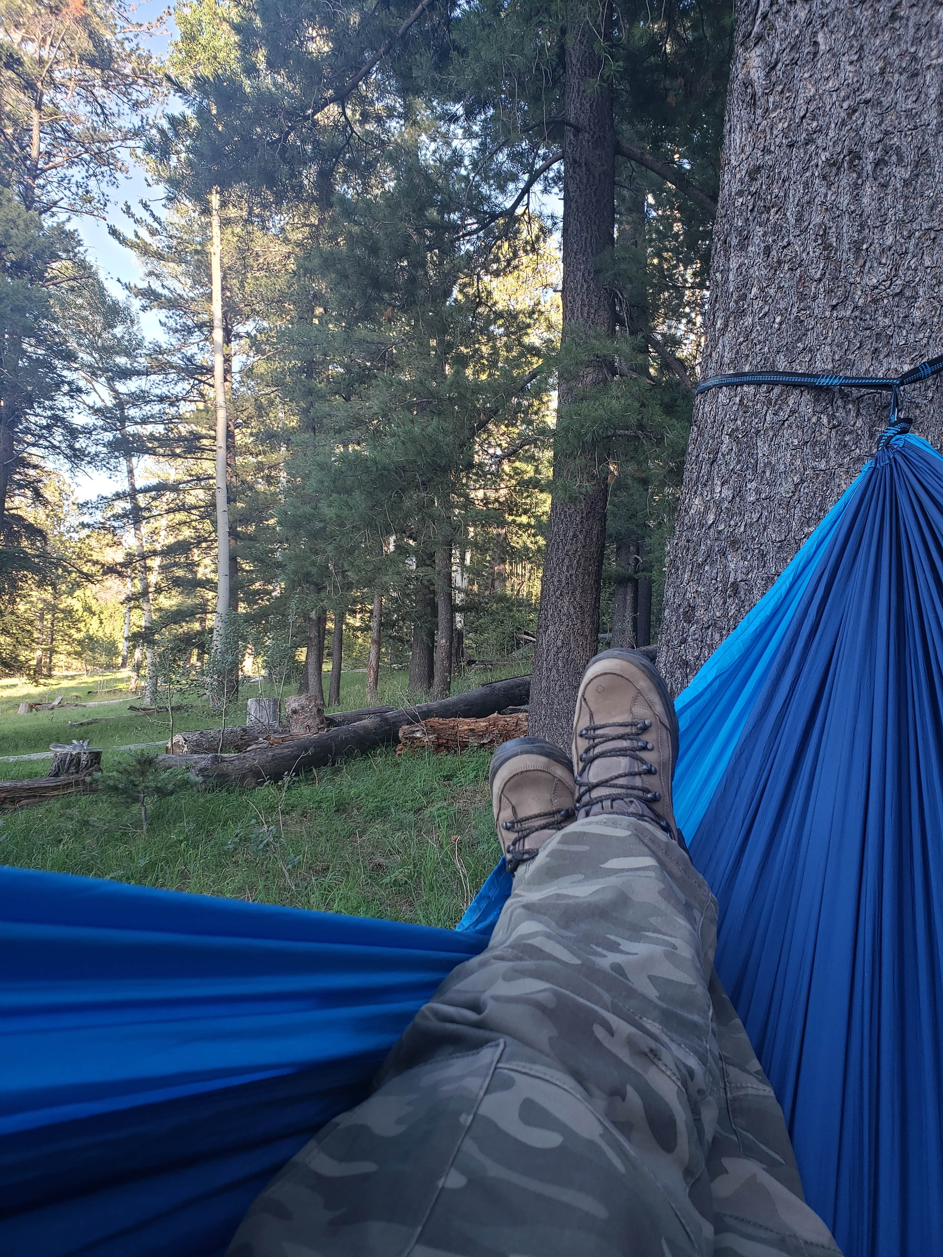 Camper submitted image from Lockett Meadow Campground - 5