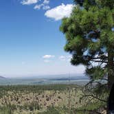 Review photo of Lockett Meadow Campground by Sapphira G., August 9, 2021