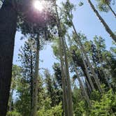 Review photo of Lockett Meadow Campground by Sapphira G., August 9, 2021