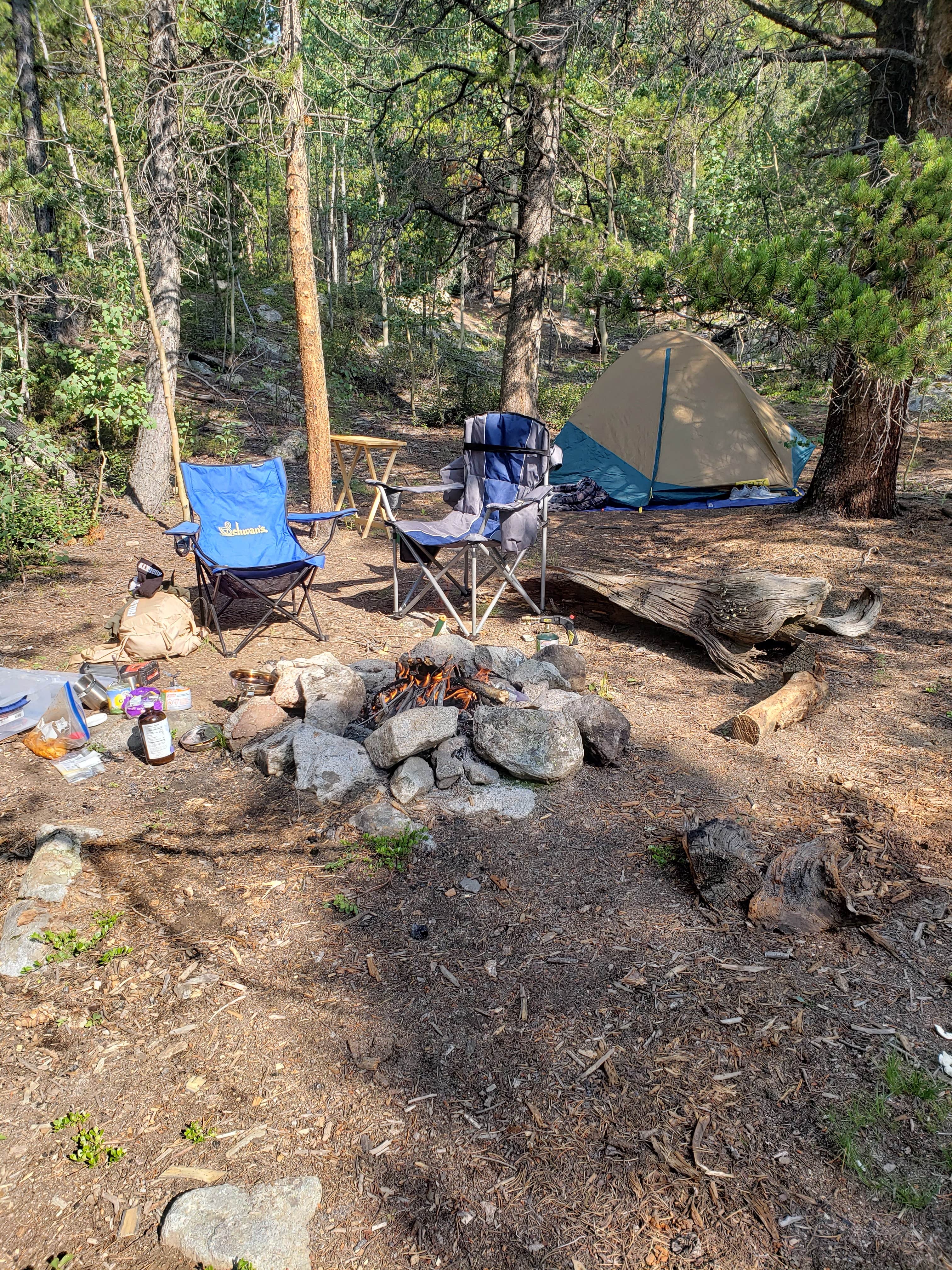 Noah E.'s photo of tent camping at Chaffee County Road 390 Dispersed near Buena Vista, CO
