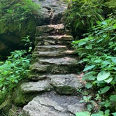 Review photo of Maquoketa Caves State Park Campground by Amanda K., August 9, 2021