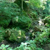 Review photo of Maquoketa Caves State Park Campground by Amanda K., August 9, 2021