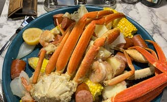 jacob's photo of camping with pets at Berry Ridge Road - Dispersed Camping near Seymour, IN