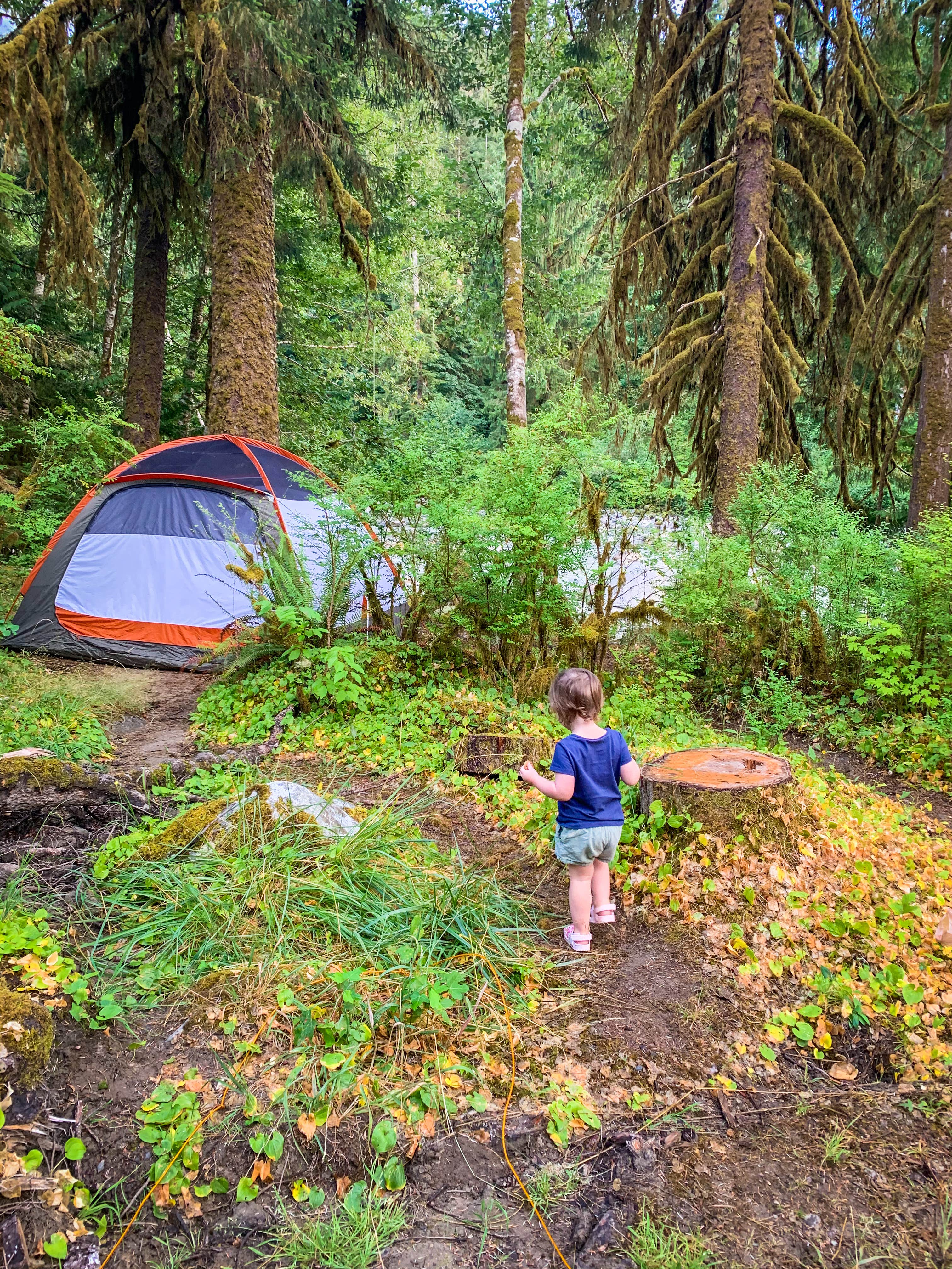 Courtney P.'s photo at Verlot Campground near Marysville, WA